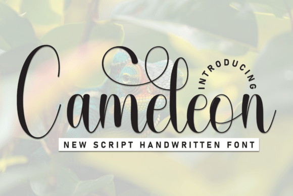 Cameleon Script: A Designer's Real-World Review