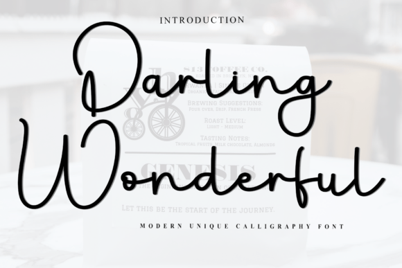 Darling Wonderful: A Distinctive Script Font for Editors